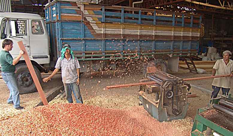 Selecting wood for bus