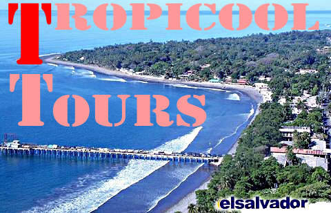 Tropicool Tours