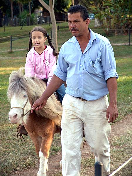 Fun Pony Rides