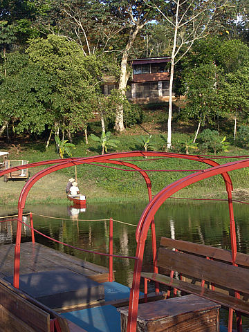 Dock n Trees