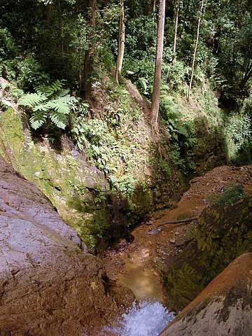 Creek Bed Below