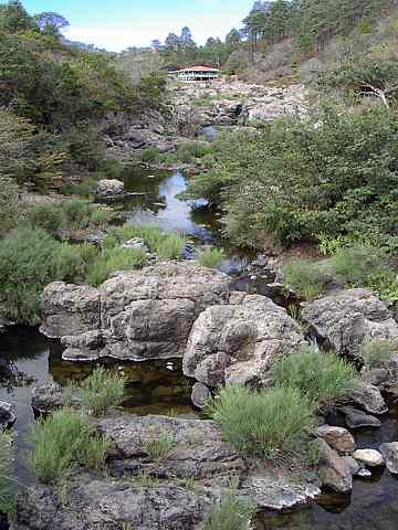 House up a creek