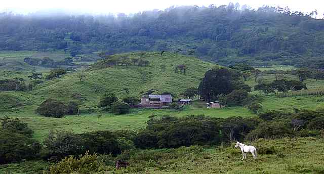 Horse Hills Mist