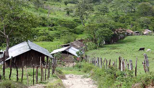 Lonely lane house