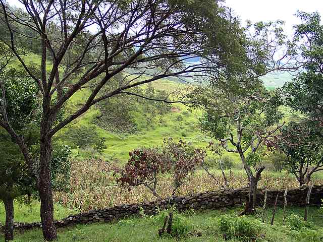 Stone wall