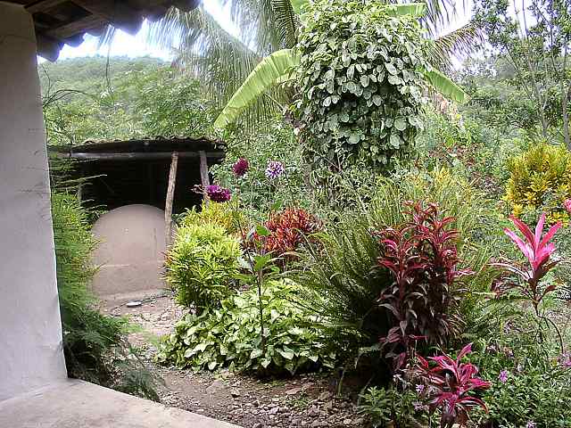 Window Garden View