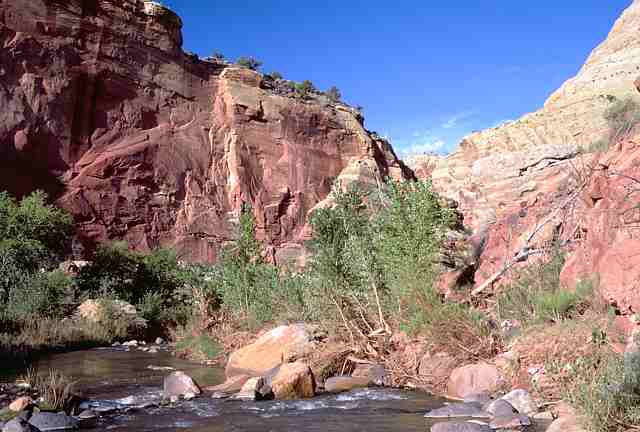 Zion National Pk